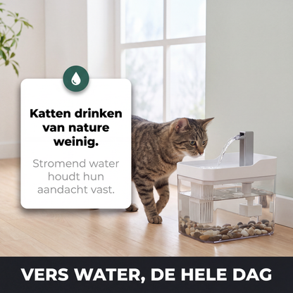 Kat bij de Fenna kattenfontein op een keukenvloer