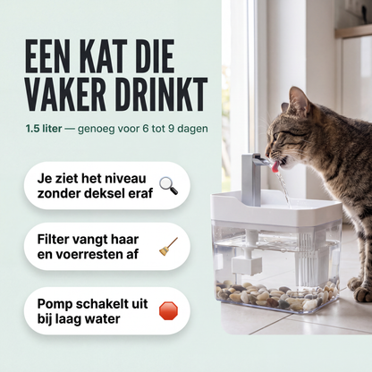 Voordelen van de Fenna kattenfontein: bewegend water, doorzichtige bak en droogloopbeveiliging