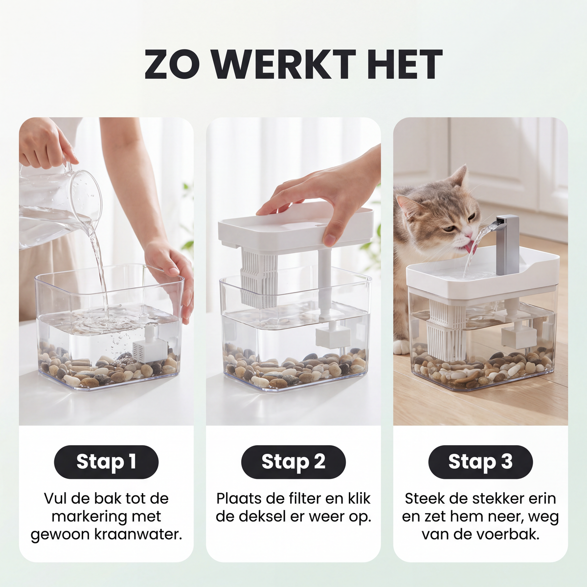 Zo werkt de Fenna kattenfontein in drie stappen: vullen, filter plaatsen en aanzetten